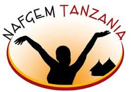 Job - MNCH and Nutrition Regional ME&L Officer-Kilimanjaro job at ...