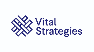 Data Manager Panel Job - Program Manager job at Vital Strategies
